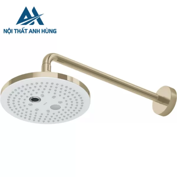 Bát Sen Gắn Tường TOTO TBW01004A#BFG 2 Chế Độ Vàng Pháp Mờ