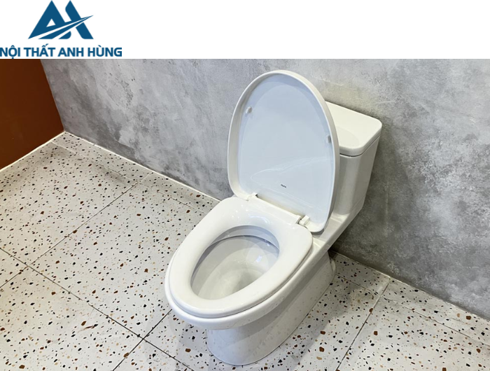 Bồn Cầu INAX AC-969VN 1 Khối Aqua Ceramic