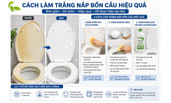 Vì sao nắp bồn cầu bị ố vàng?